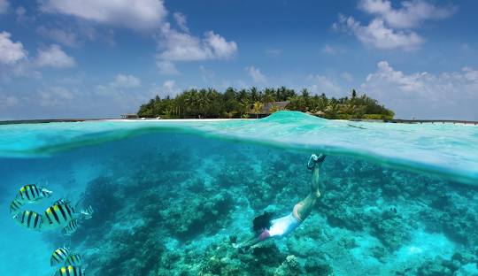 MALDIVES Package